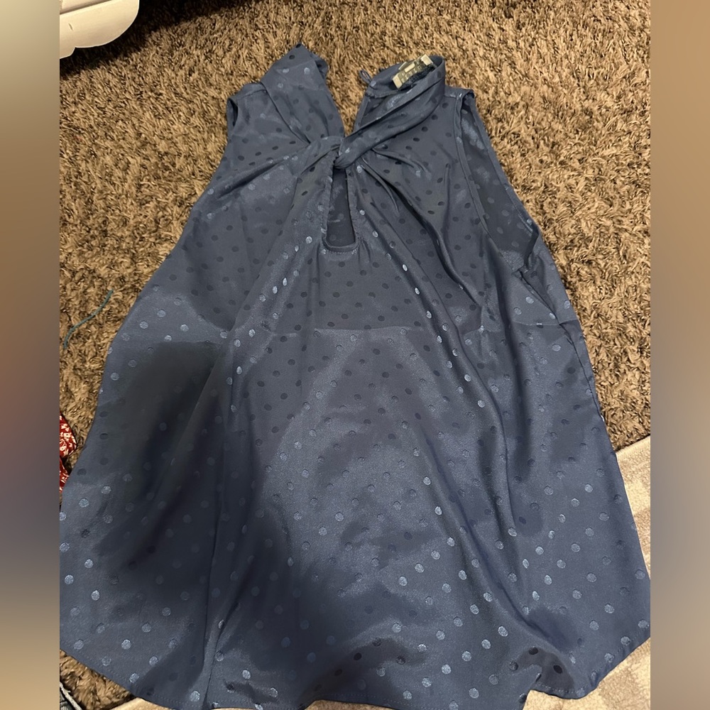 Status silk blue polka dot blouse